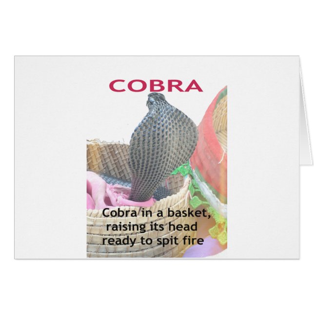 Cobra in a Basket Ready to spit Fire (Front Horizontal)