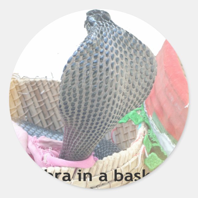 Cobra in Basket Art Print Classic Round Sticker (Front)