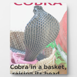 Cobra in Basket Art Print Plaque
