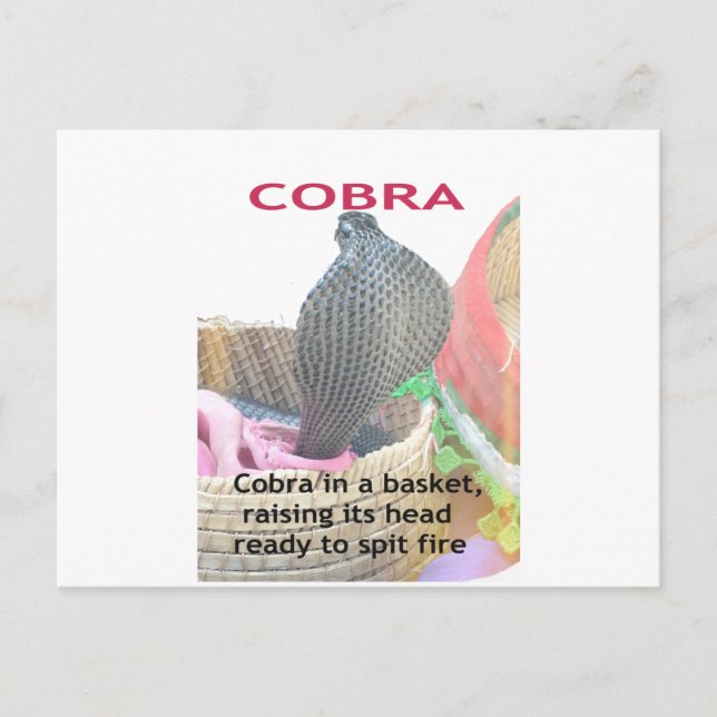 Cobra in Basket Art Print Postcard (Front)