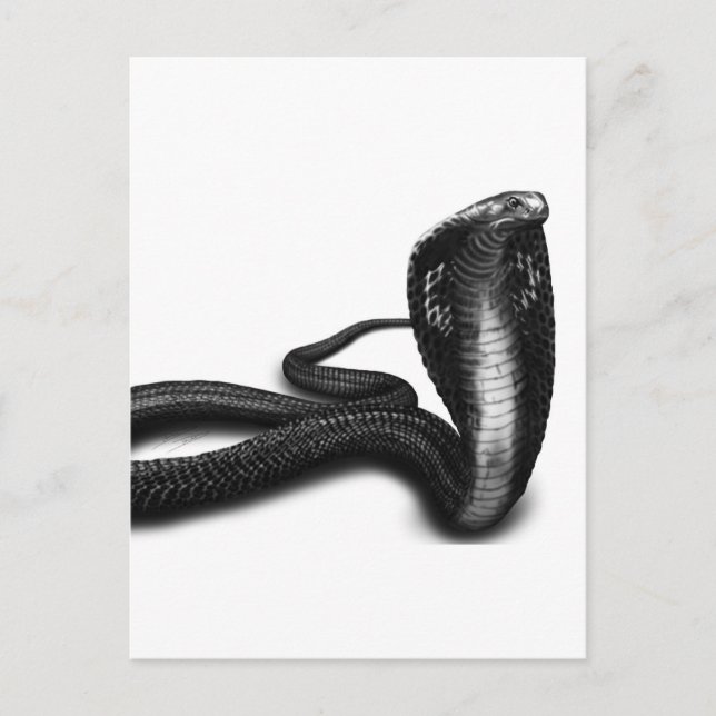 Cobra Postcard (Front)