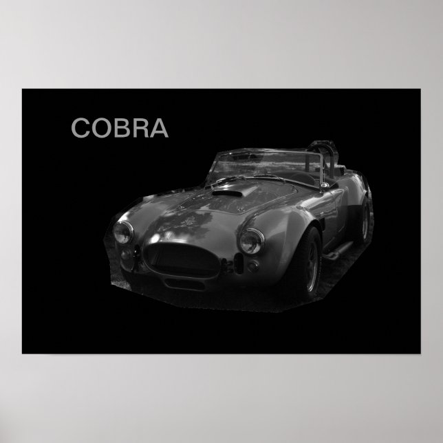 COBRA POSTER (Front)