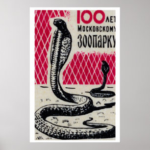 Cobra Snakes - Matchbox Print - Czech Wall Art