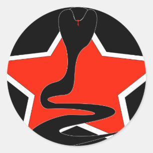 Cobra with Red Star sticker