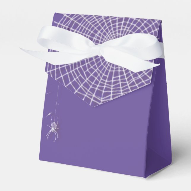 Cobwebs and White Spiders Favour Box (Front Side)