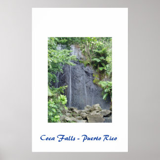 Coca Falls - Puerto Rico Poster