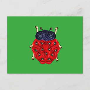 Coccinelle Postcard