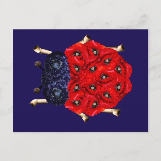 Coccinelle Postcard (Front)