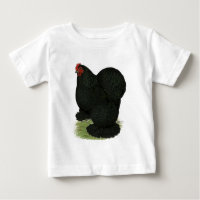 Cochin: Black Hen
