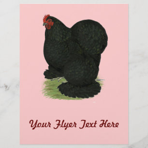 Cochin:  Black Hen Flyer