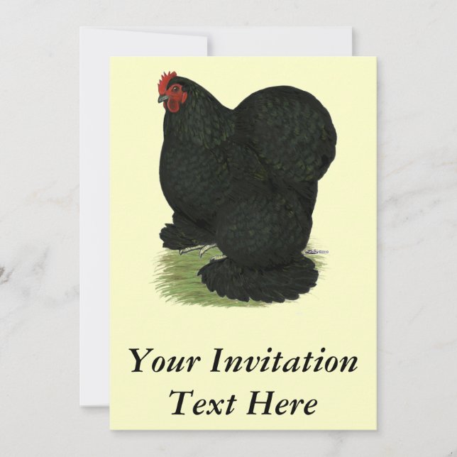 Cochin:  Black Hen Invitation (Front)