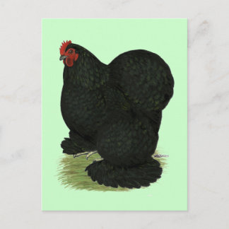 Cochin: Black Hen Postcard