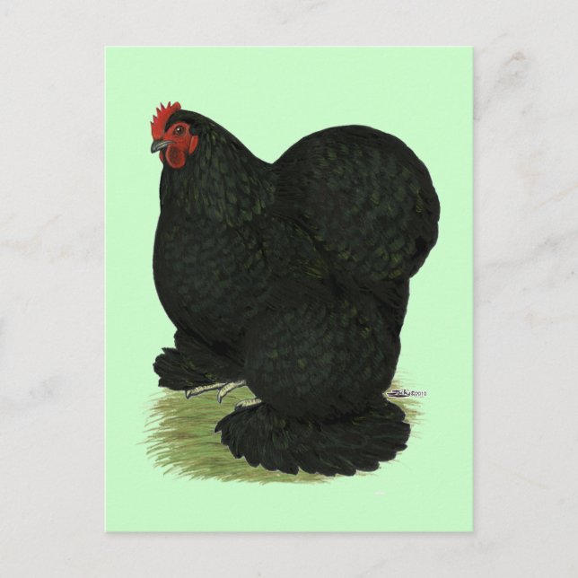 Cochin:  Black Hen Postcard (Front)
