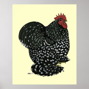 Cochin:  Black Mottle Poster