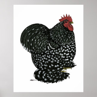 Cochin: Black Mottle Poster