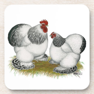 Cochin Columbian Bantams Coaster