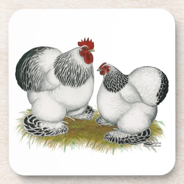 Cochin Columbian Bantams Coaster (Front)