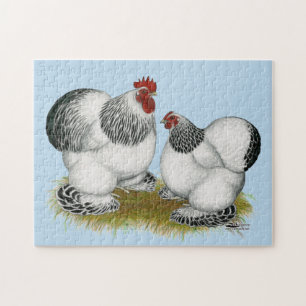 Cochin Columbian Bantams Jigsaw Puzzle