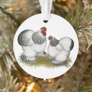 Cochin Columbian Bantams Ornament