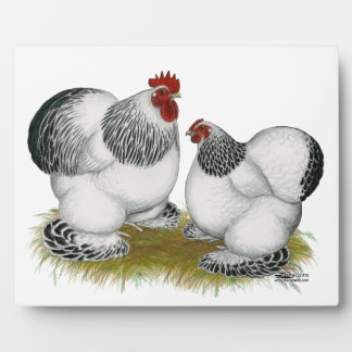 Cochin Columbian Bantams Plaque