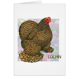Cochin:  Gold-laced Hen