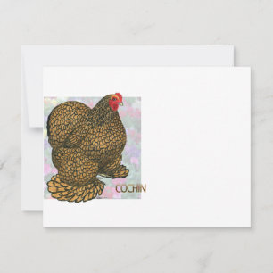 Cochin: Gold-laced Hen