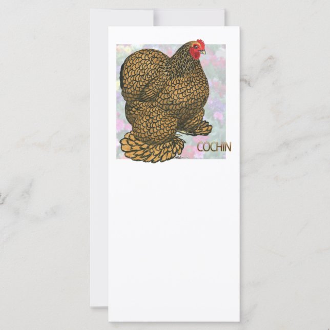 Cochin:  Gold-laced Hen (Front)