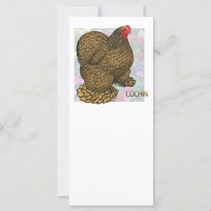 Cochin: Gold-laced Hen