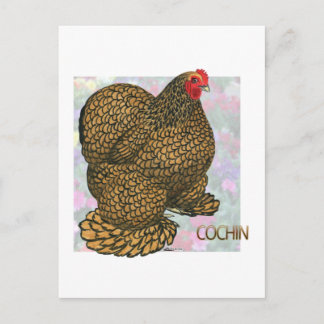 Cochin: Gold-laced Hen Postcard