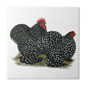 Cochin Mottled Chicken Pair Tile