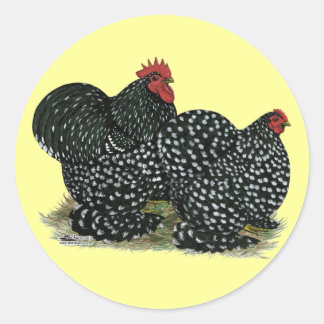 Cochin Mottled Chickens Classic Round Sticker