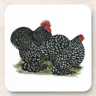 Cochin Mottled Chickens Coaster