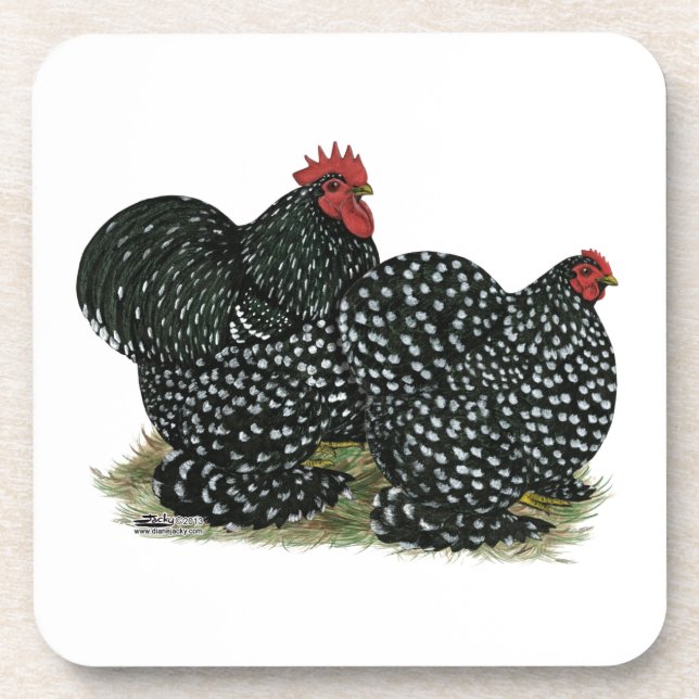 Cochin Mottled Chickens Coaster (Front)