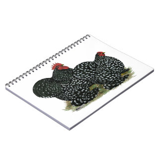 Cochin Mottled Chickens Notebook