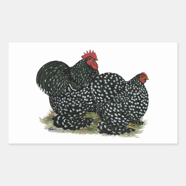 Cochin Mottled Chickens Rectangular Sticker (Front)