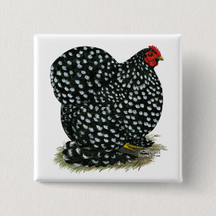 Cochin Mottled Hen 15 Cm Square Badge