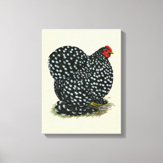 Cochin Mottled Hen Canvas Print