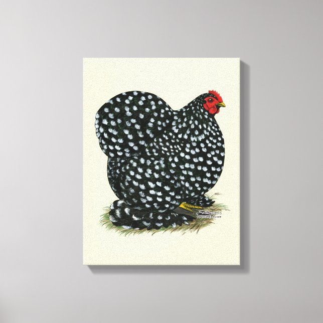 Cochin Mottled Hen Canvas Print (Front)