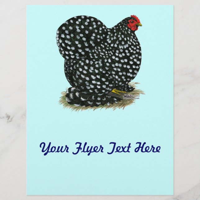 Cochin Mottled Hen Flyer (Front)