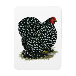 Cochin Mottled Hen Magnet