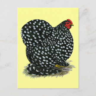 Cochin Mottled Hen Postcard