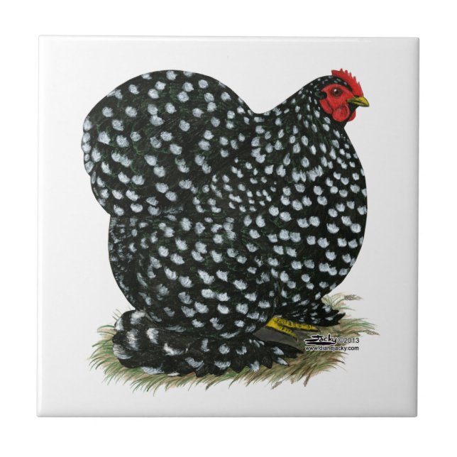 Cochin Mottled Hen Tile (Front)