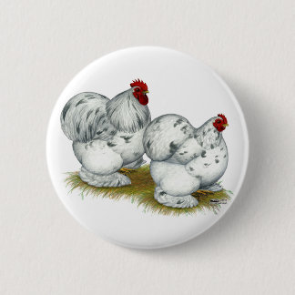 Cochin: Splash Bantams 6 Cm Round Badge