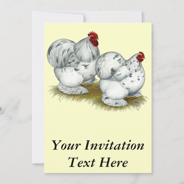 Cochin:  Splash Bantams Invitation (Front)