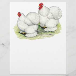 Cochin: White Bantams Flyer
