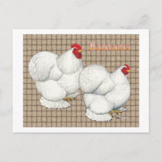 Cochin: White Bantams Postcard