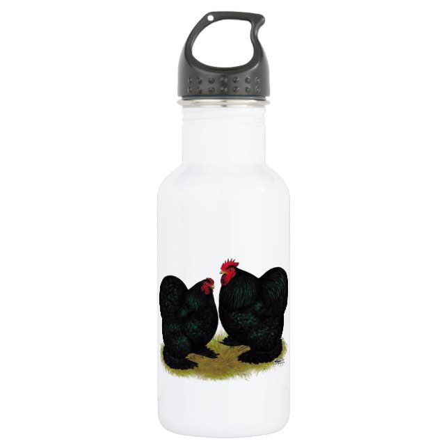 Cochins Black Bantam Pair 532 Ml Water Bottle (Front)