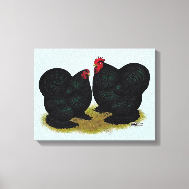 Cochins Black Bantam Pair Canvas Print (Front)