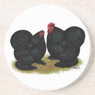 Cochins Black Bantam Pair Coaster