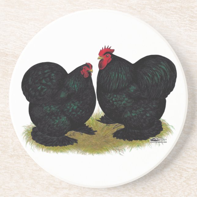 Cochins Black Bantam Pair Coaster (Front)
